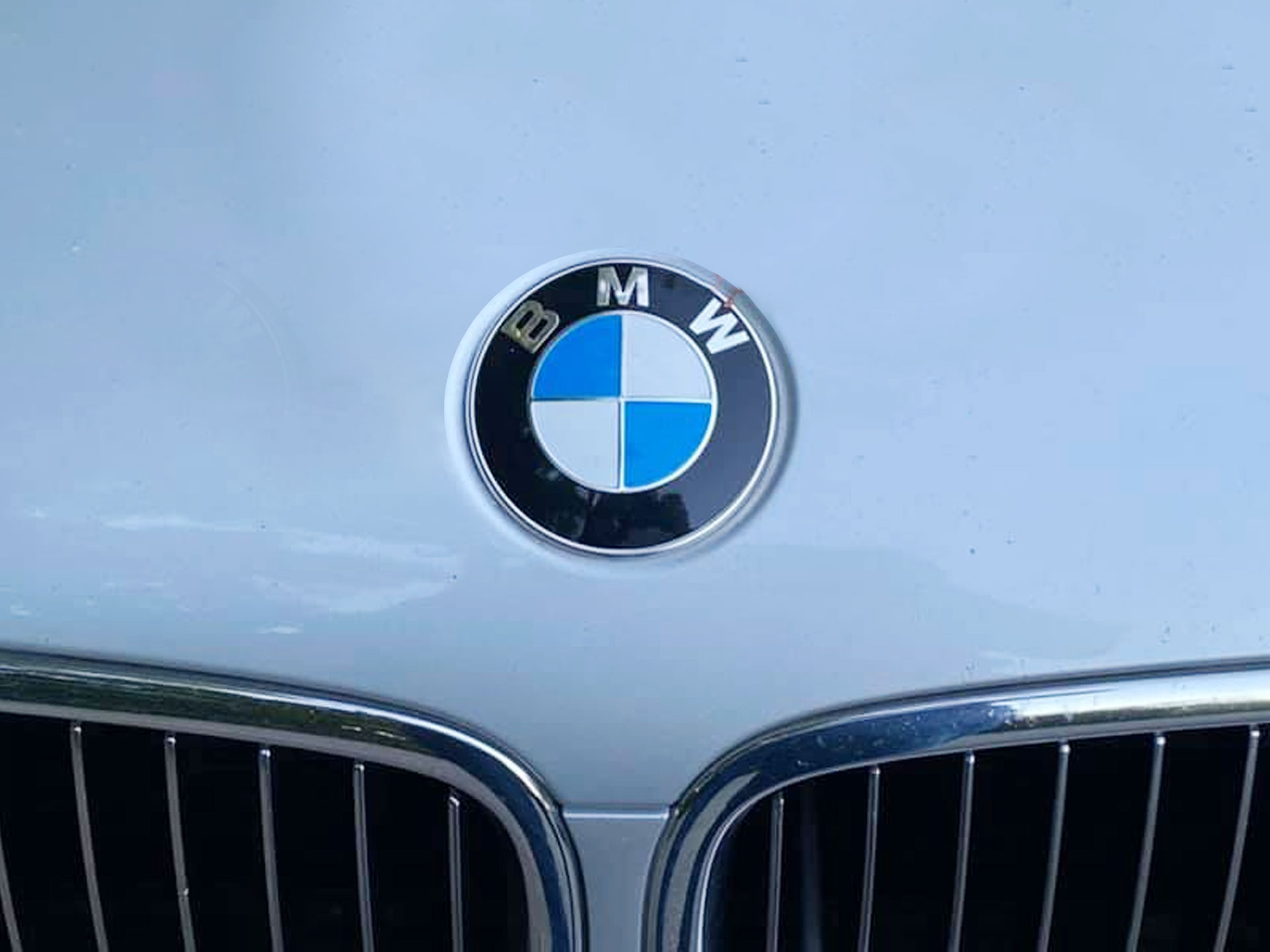 Lubo's Bavarian Motors